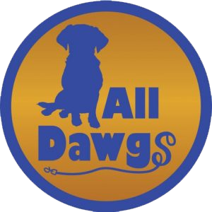All Dawgs Dog Puppy Training Day Care Boarding Albany NY